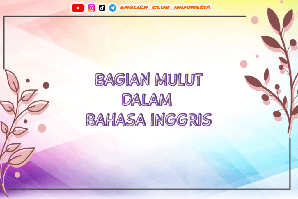 BAGIAN MULUT DALAM BAHASA INGGRIS